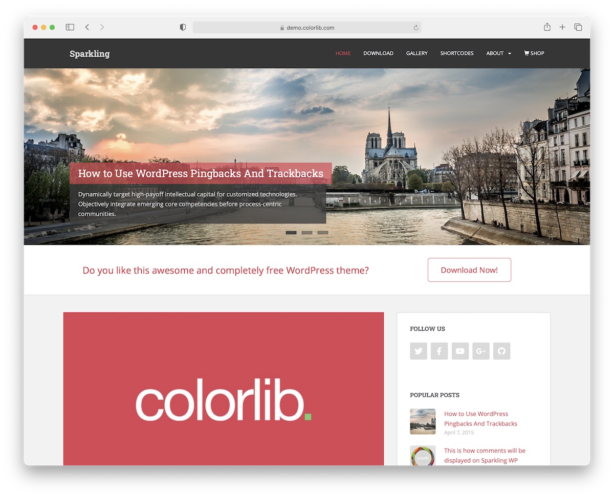 sparkling free bootstrap wordpress theme